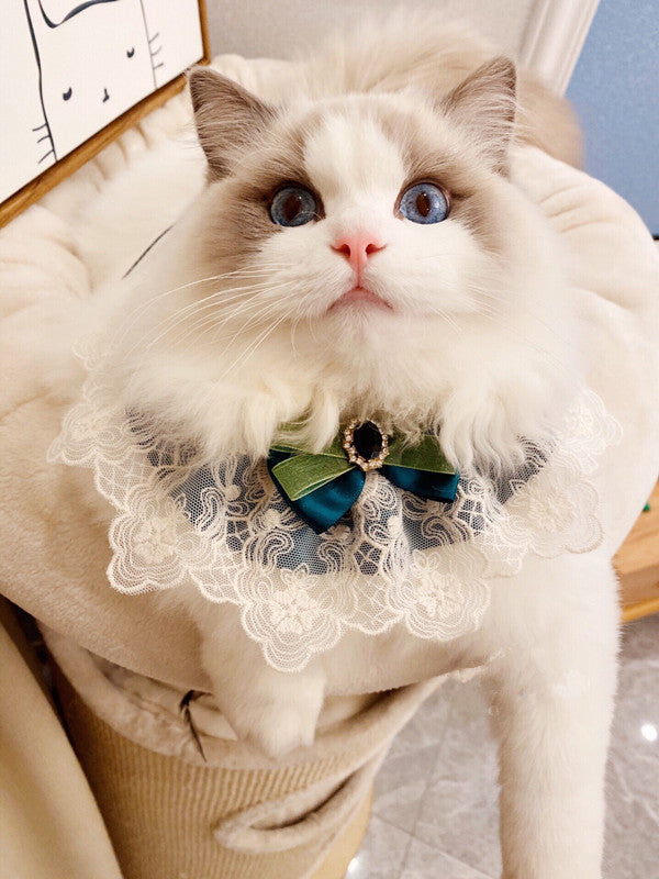 New Muppet Cat Lace Bib Pet Dog Schnauzer Teddy Bow Tie Bow Tie