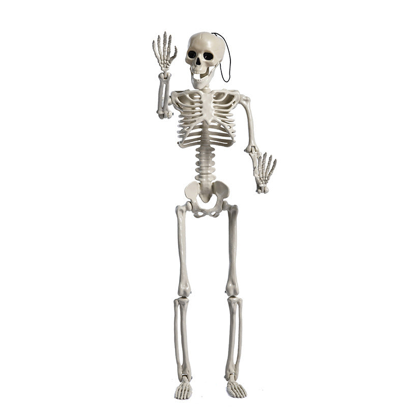 Halloween Skull Fish-Skeleton Hanger 80cm Simulation