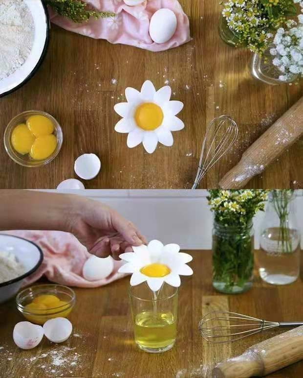 Egg Separator