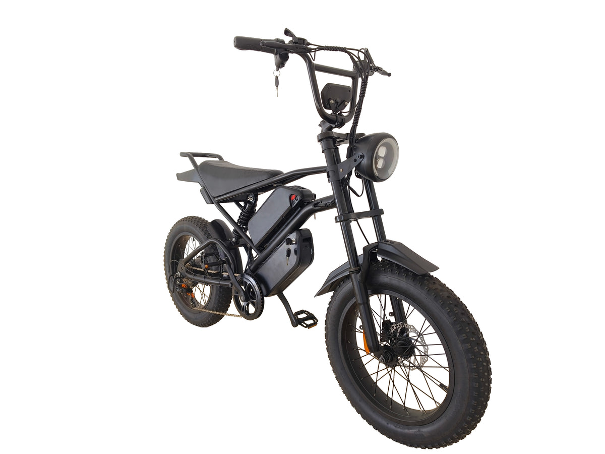 Ebike,1000W Motor,48V30Ah Battery,20 Inches,Maximum Speed 40-50KM