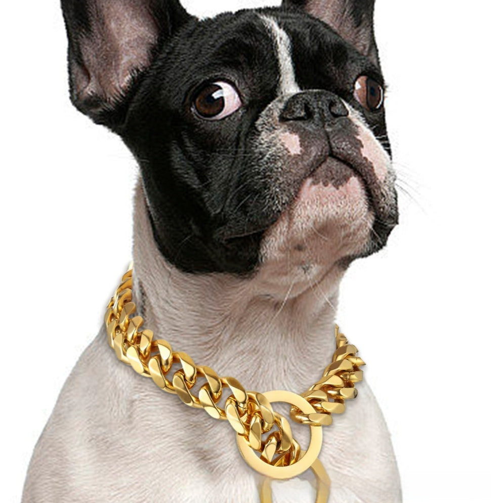 Titanium Steel Metal Hip Hop Pet 15mm Gold Stainless Steel Dog Leash