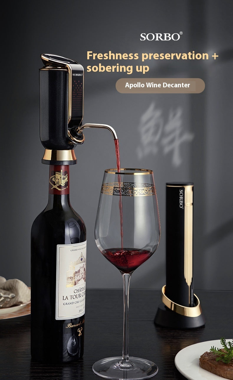 Electric Wine Decanter Fast Household Wine Decanter