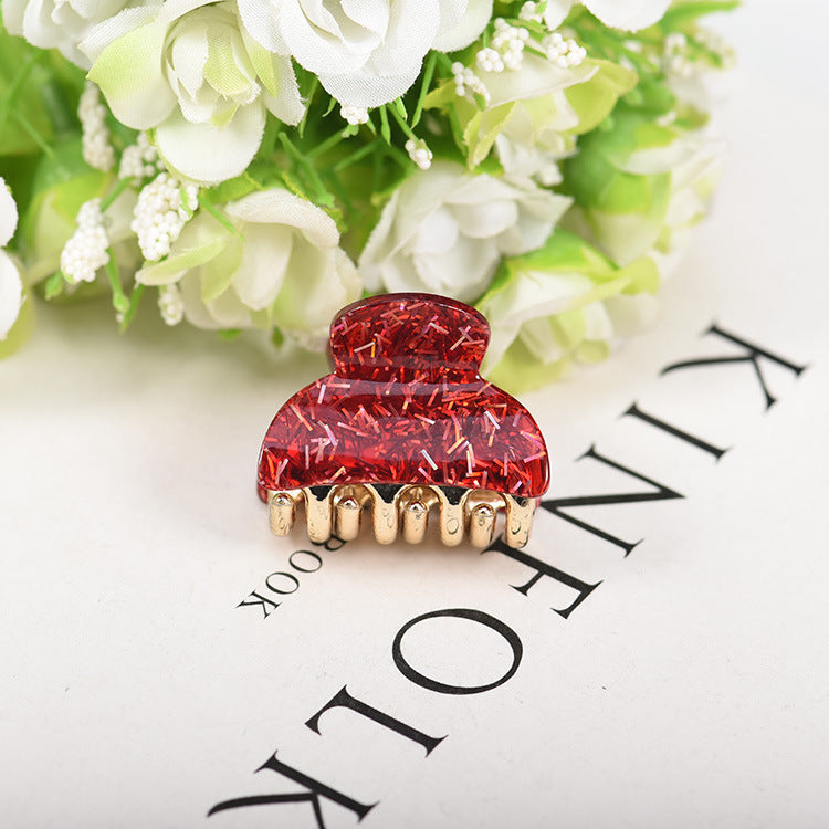 Acrylic Hair Clips Women's Ponytail Hair Catching Bath Tray Hair Clips