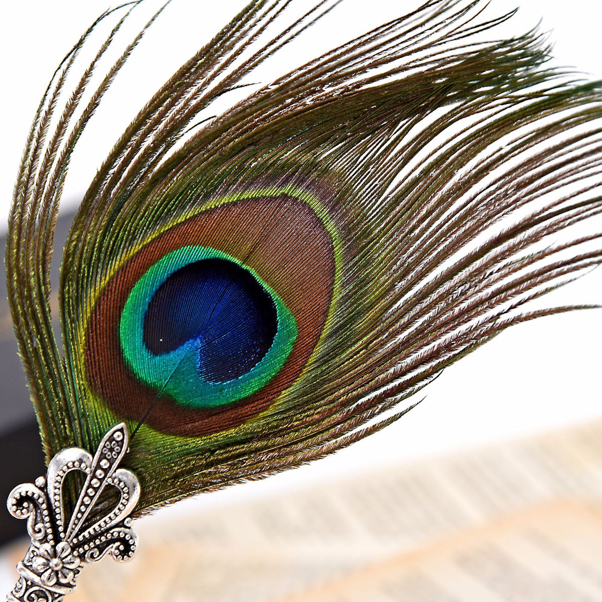 Vintage Feather Pen Peacock Feather Pen Set