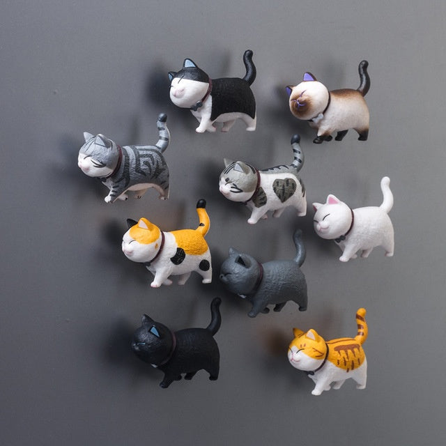 Fridge Magnet Magnet Magnet