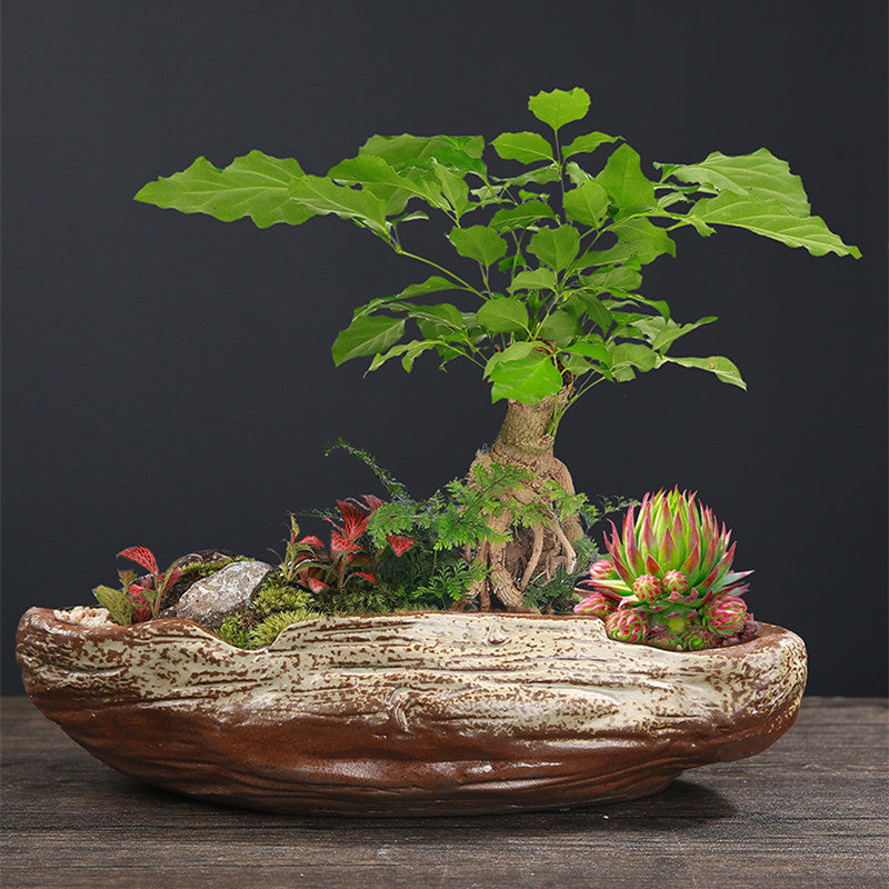 Ceramic Breathable Creative Personality Succulent Bonsai