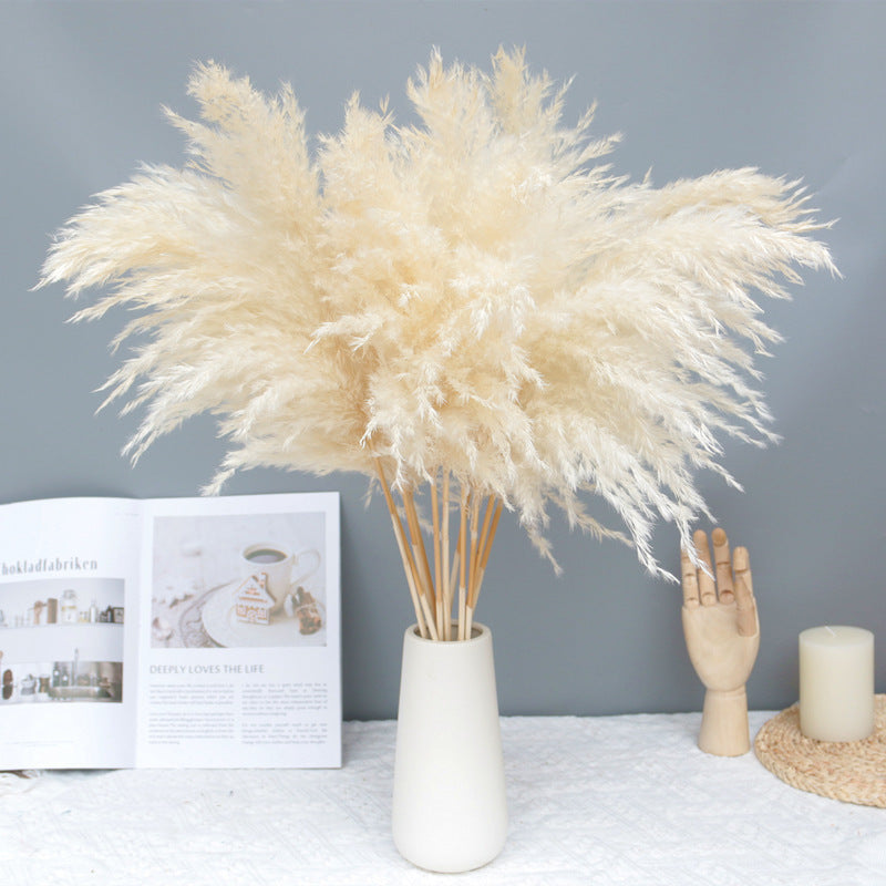 Dried Flowers Bouquet Nettle Reeds