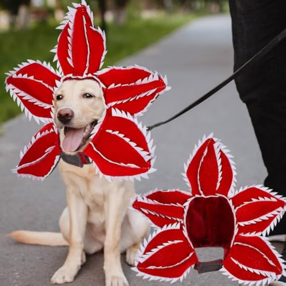 Dog Halloween Chomper Costume - Pet Holiday Demon Hat Scary Headband Flower Cosplay Outfits Funny Headwear Stranger Clothes For Medium Dog