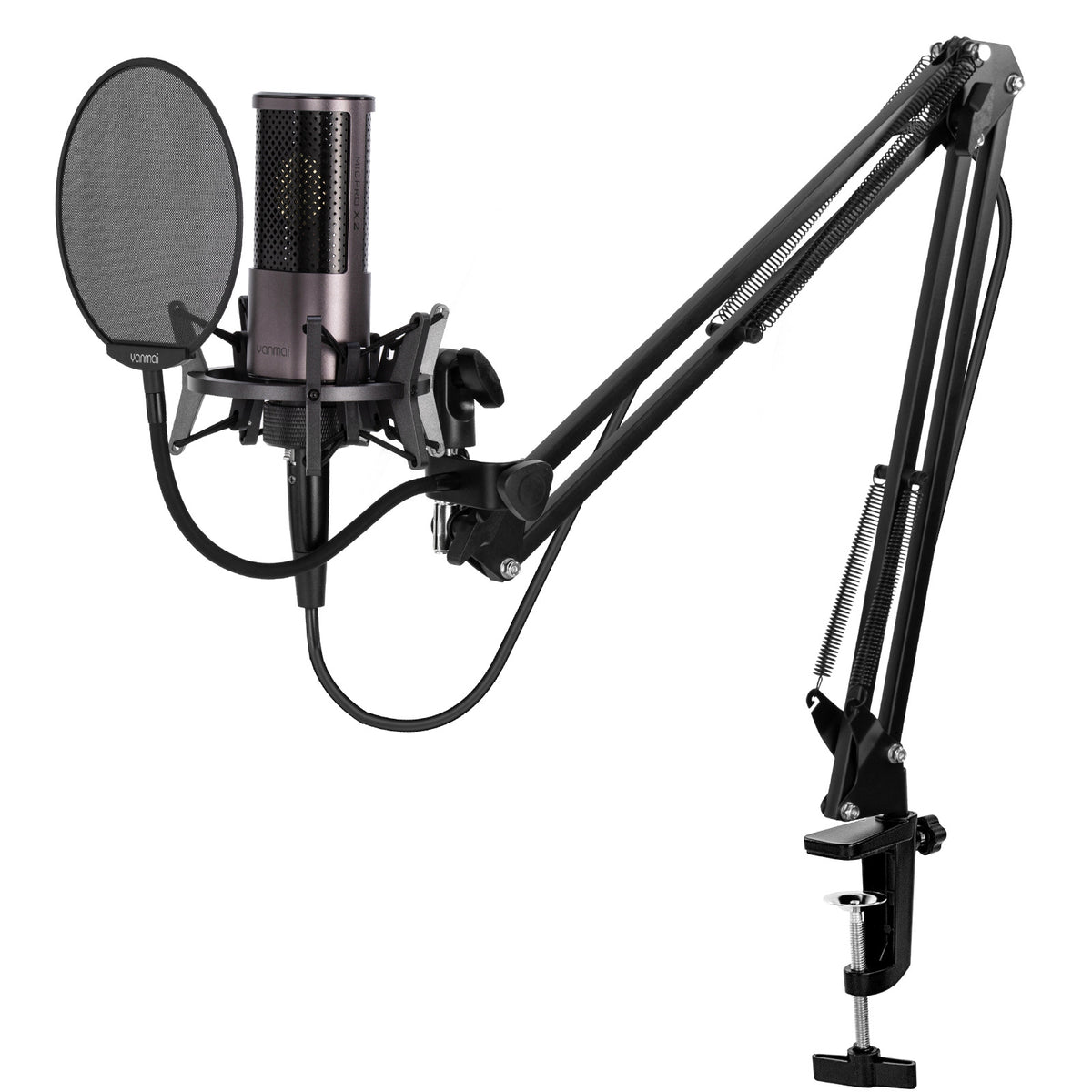 Mobile Phone Voice Game Microphone Computer Anchor Karaoke Recording Microphone