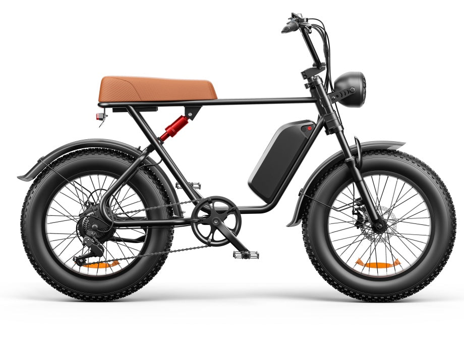 C91 - 20 Inch 20A Electric Bike ---- Purchase Style, Please Check The Details