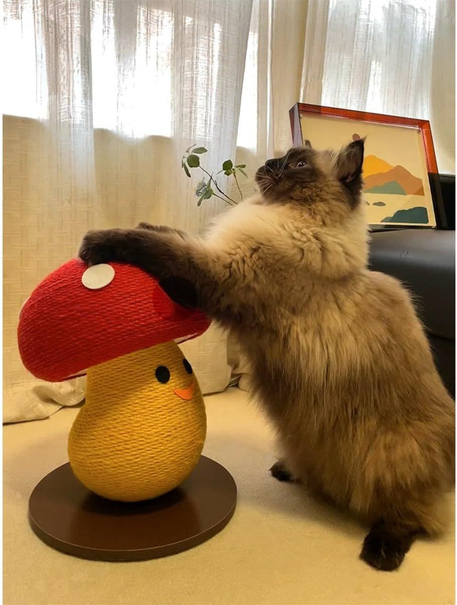 Cat Scratcher Scratch Board Foldable Accordion Design Cardboard Scratch Pad Nest For Indoor Grinding Claw Round Board Corrugated Lounge Cat Furniture Protector For Couch Carpets Sofas Mushroom