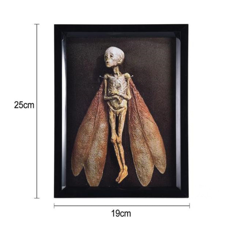 Cursed Items Dead Fairy Shadow Box Display Wooden Ornaments