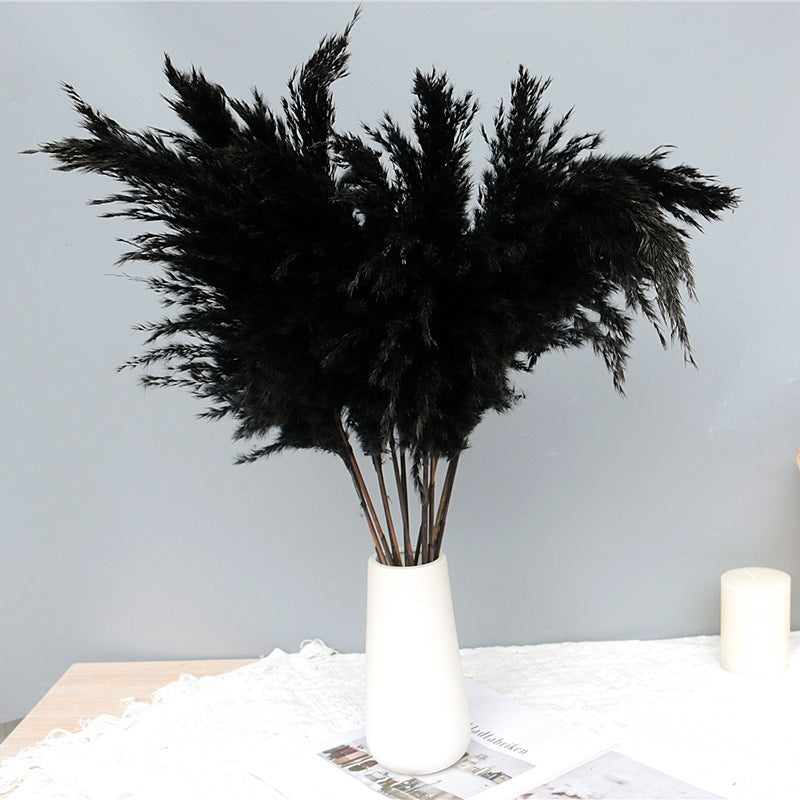 Dried Flowers Bouquet Nettle Reeds