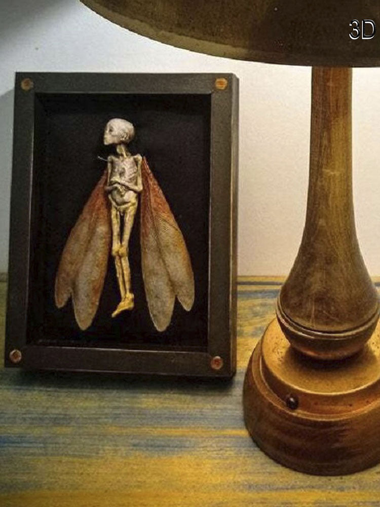 Cursed Items Dead Fairy Shadow Box Display Wooden Ornaments